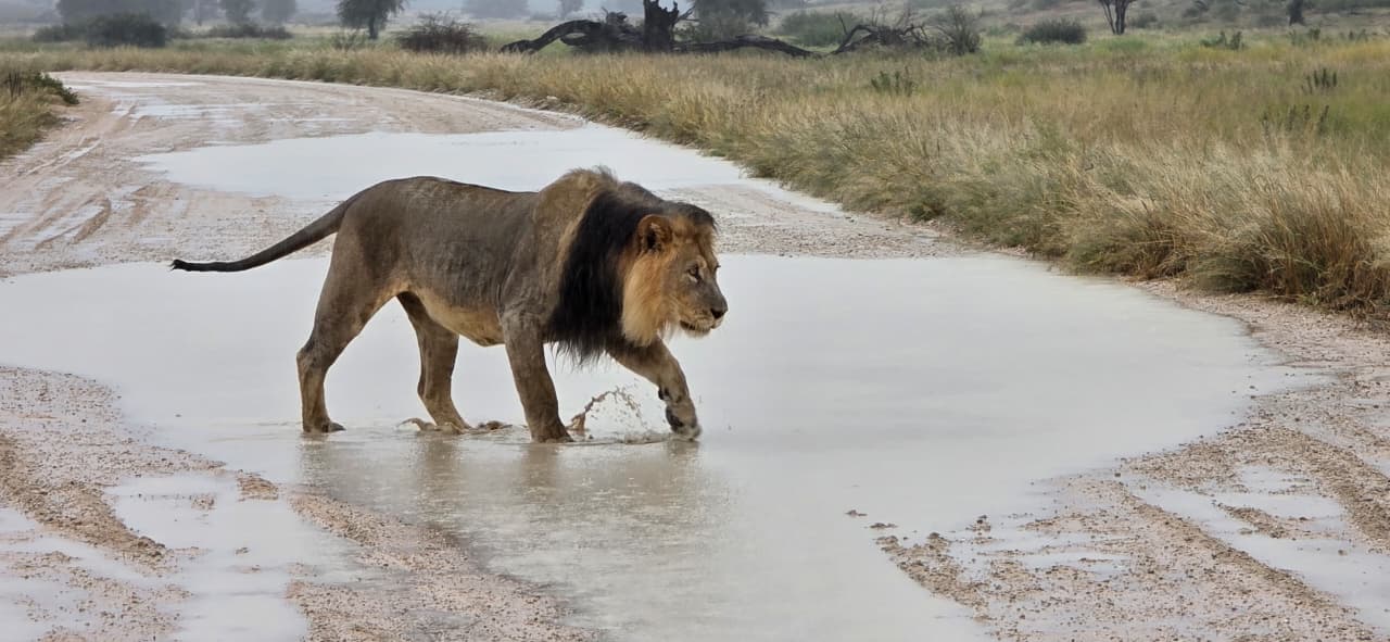 Augrabies to Kgalagadi: Falls & Red Sands 4×4 Lodge Tour