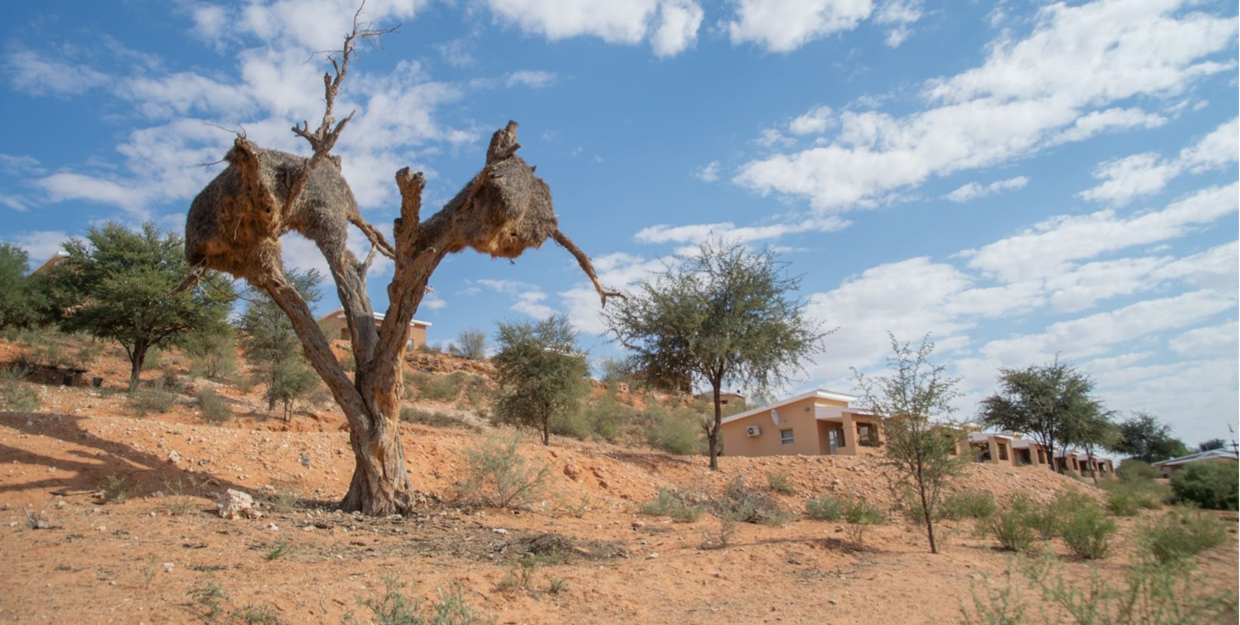 Augrabies to Kgalagadi: Falls & Red Sands 4×4 Lodge Tour gallery photo 1