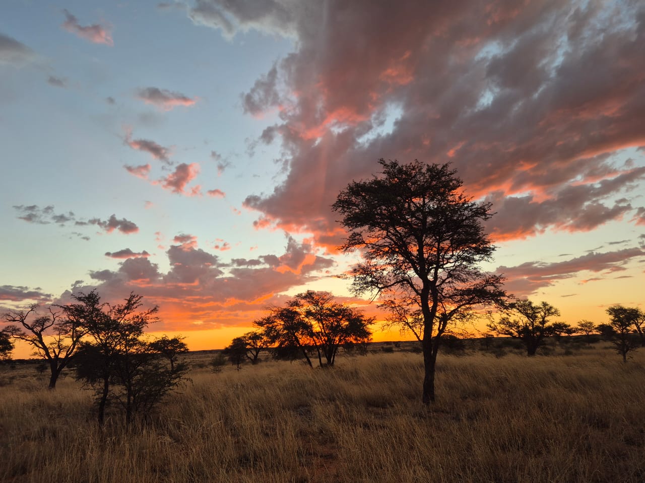 Augrabies to Kgalagadi: Falls & Red Sands 4×4 Lodge Tour gallery photo 17