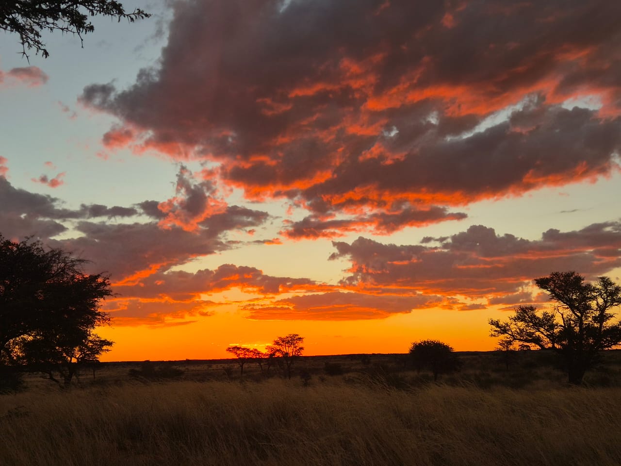 Augrabies to Kgalagadi: Falls & Red Sands 4×4 Lodge Tour gallery photo 8