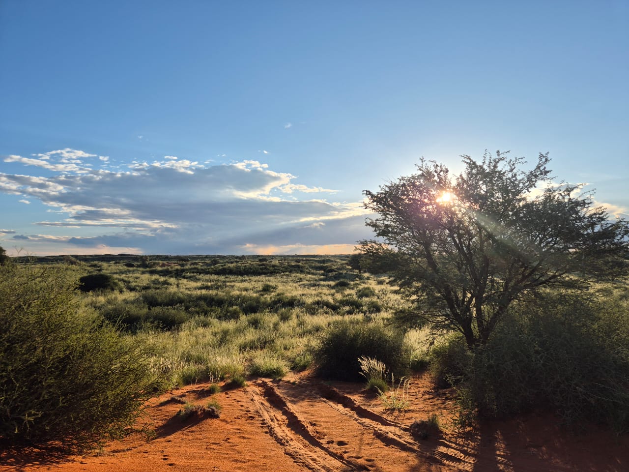 Augrabies to Kgalagadi: Falls & Red Sands 4×4 Lodge Tour gallery photo 9