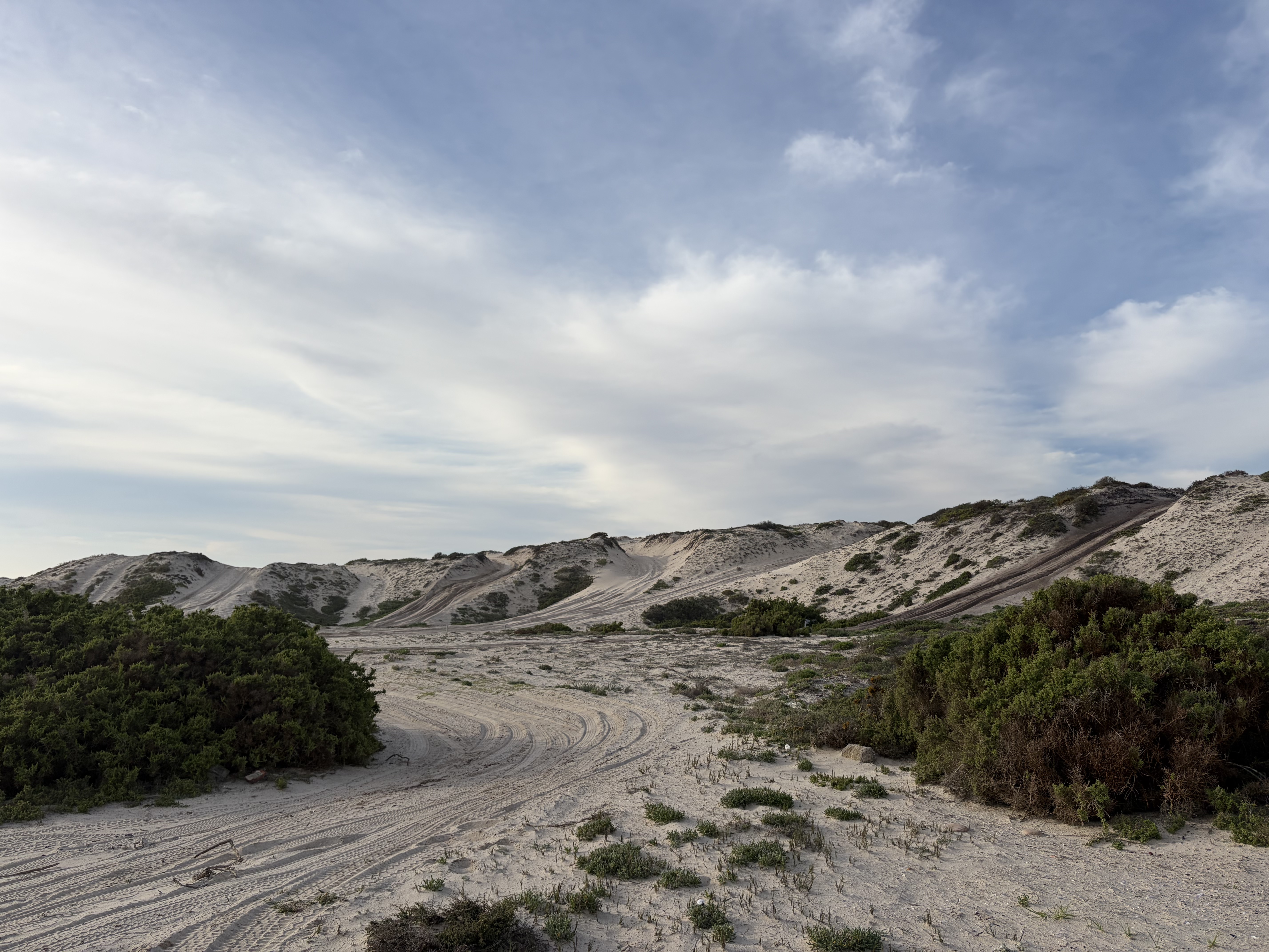 West Coast: Salt & Sand Explorer 4×4 Lodge Tour gallery photo 14