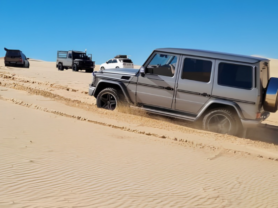 West Coast: Salt & Sand Explorer 4×4 Lodge Tour gallery photo 11